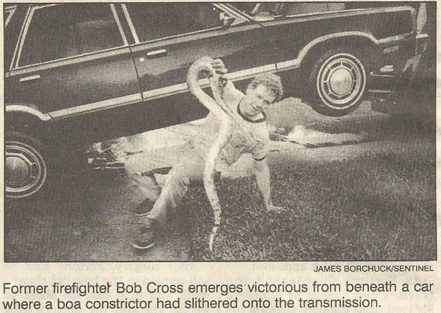 Bob Cross emerges victorious